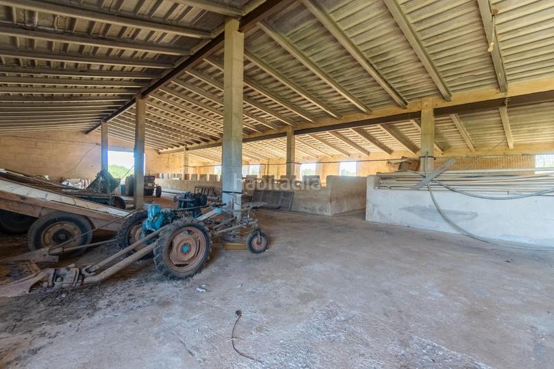 Foto d4b5bb16-ace7-4e5e-9bd0-2deae50b84b4. Masia amb aparcament piscina a Es Llombards Santanyí