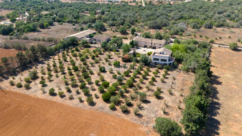 Foto f9874559-ce3e-4b61-ab31-b494cf50060a. Masia amb aparcament piscina a Es Llombards Santanyí