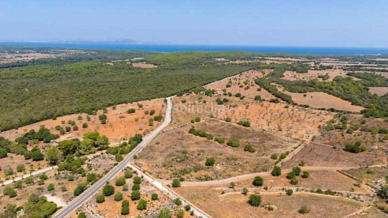 Foto 3b3dcaf2-8eb8-42aa-94c9-3fc10d289f7f. Terreno residenziale in Son Serra de Marina Santa Margalida