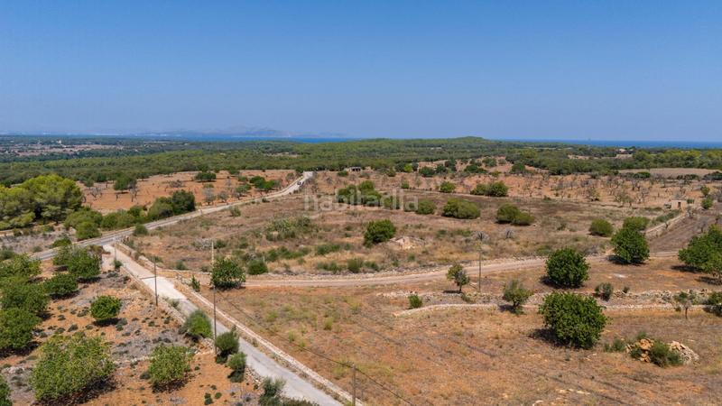 Foto 3fbaa8d2-509f-4137-8504-8d54a1b37a31. Terreno residenziale in Son Serra de Marina Santa Margalida