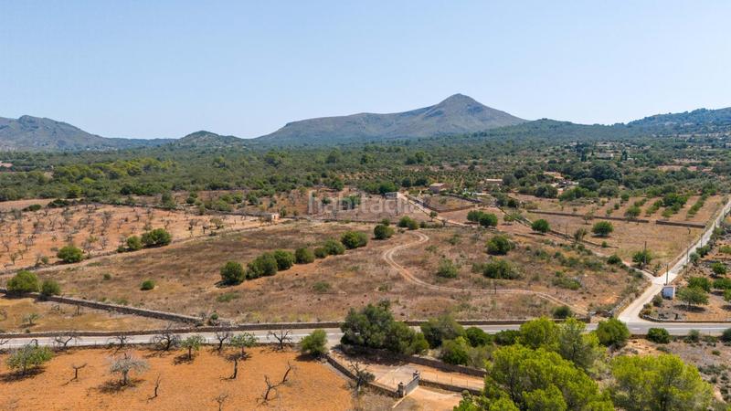 Foto 43770105-39d5-4a74-9162-ebf184e0e533. Terreno residenziale in Son Serra de Marina Santa Margalida