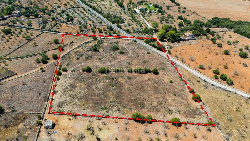 Foto 81dd70ec-cdc2-45ed-96b4-e67c971d567d. Terreno residenziale in Son Serra de Marina Santa Margalida