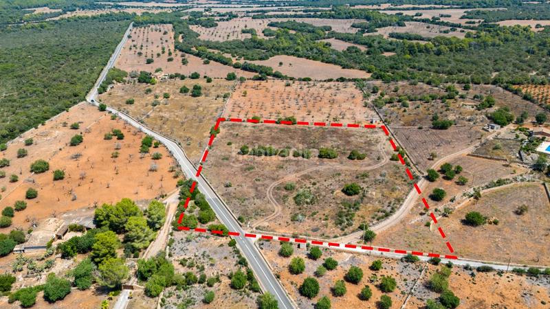 Foto 99e55d30-1989-4a01-aa43-67a47cfdb0d7. Terreno residenziale in Son Serra de Marina Santa Margalida