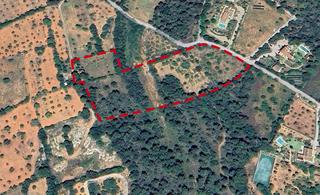 Finca rústica a S´Alquería Blanca - Calonge. Terreno en rústico con proyecto aprobado en santanyí