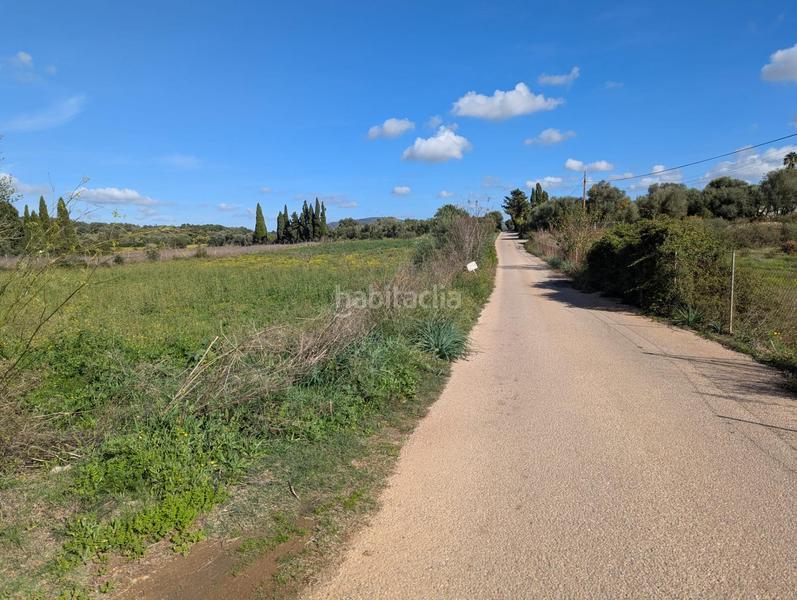 Foto 320889bb-d71c-4344-a685-8056c453c661. Terreno residenziale in Manacor centre Manacor