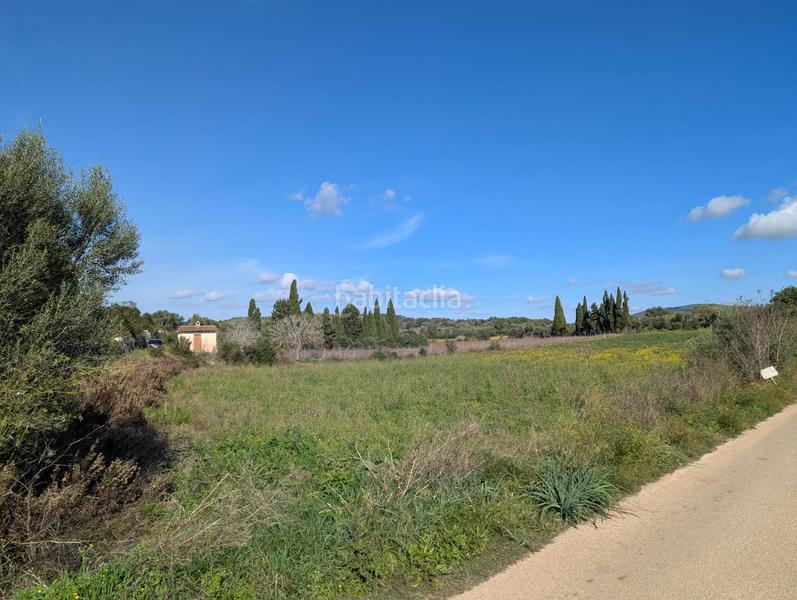 Foto 33c32aeb-68f2-4ad7-afef-839532446ead. Terreno residenziale in Manacor centre Manacor