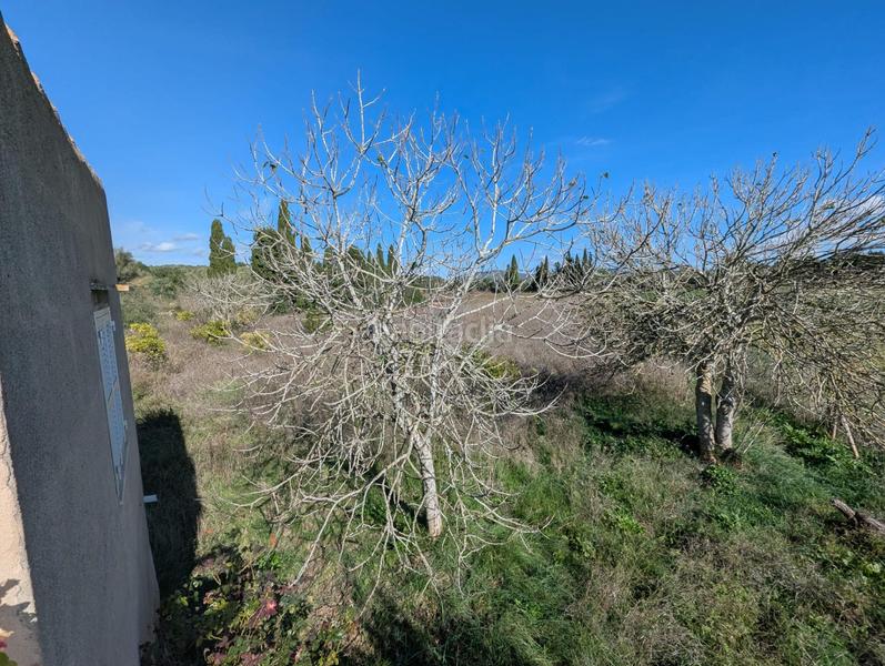 Foto 354f36e3-8385-48c5-b414-305fdb69a6a5. Terreno residenziale in Manacor centre Manacor