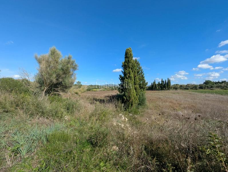 Foto 39027740-76fc-4233-9f9a-d7b162a26198. Terreno residenziale in Manacor centre Manacor