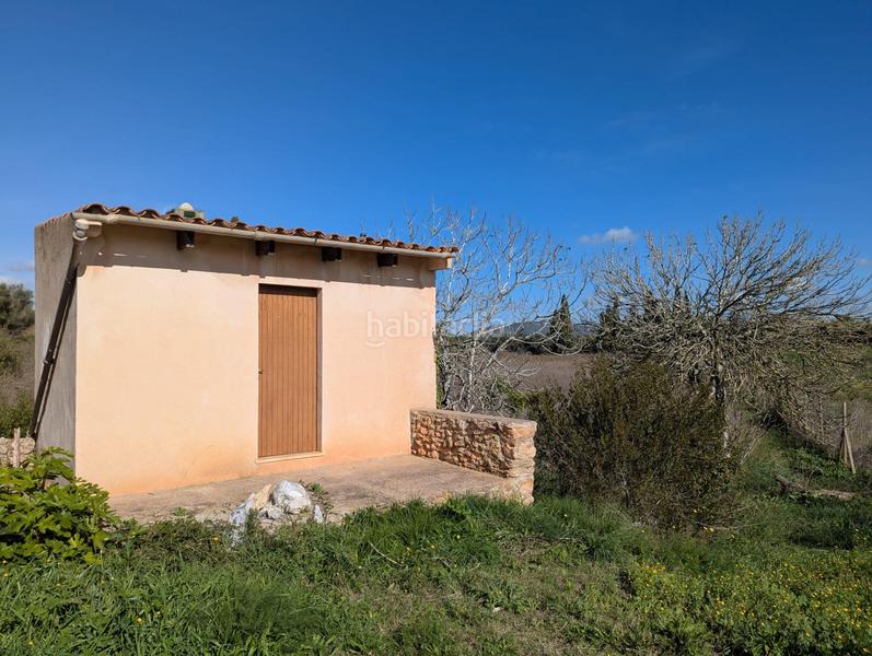 Foto 3d569186-bebb-4fe2-8035-c1829ca71abb. Terreno residenziale in Manacor centre Manacor