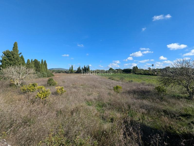 Foto 5068b7da-cb37-4add-bebb-50fdee0ea956. Terreno residenziale in Manacor centre Manacor