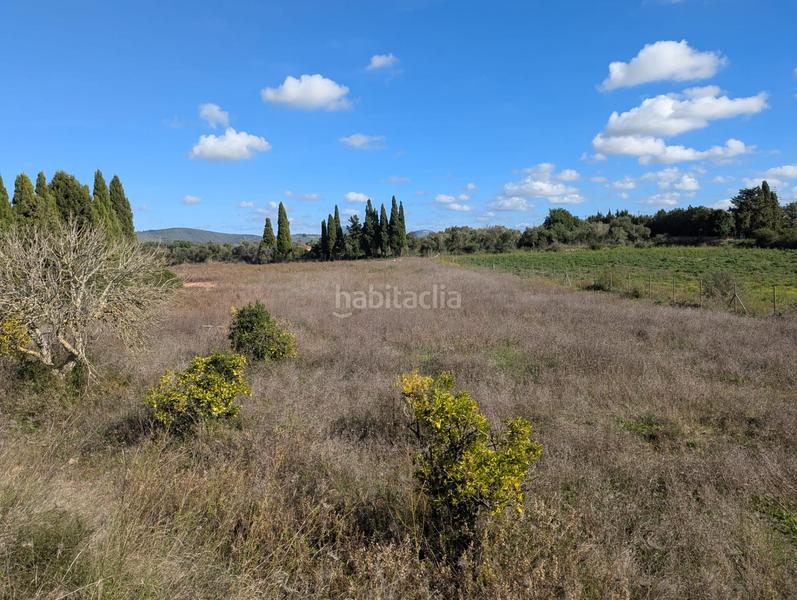 Foto 5d94899e-963b-4d0a-99b4-01774101be7b. Terreno residenziale in Manacor centre Manacor