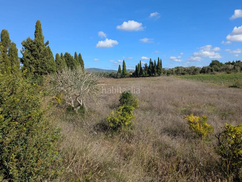 Foto 75e7587b-1f8e-499b-a303-71c886b1b9fb. Terreno residenziale in Manacor centre Manacor