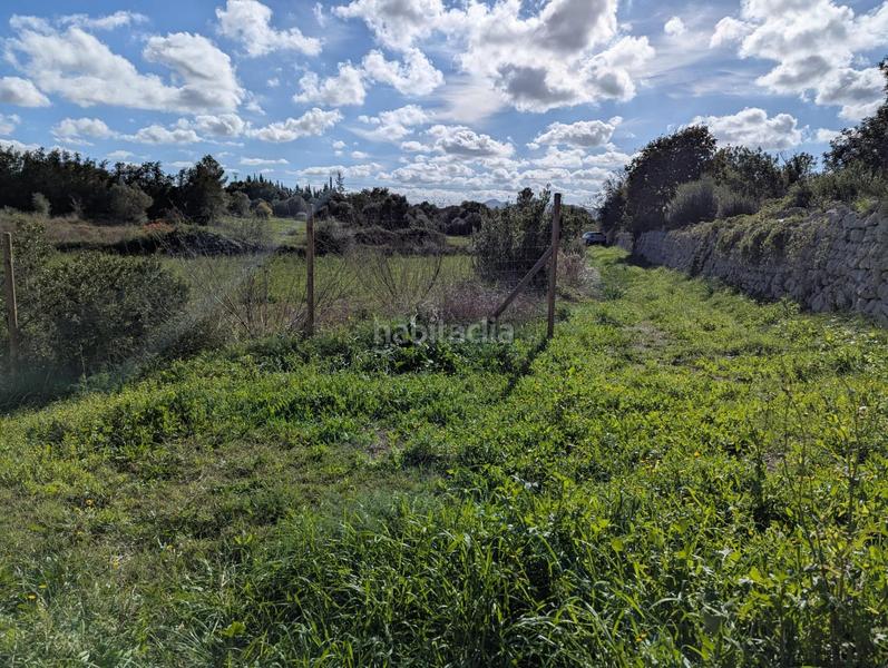 Foto 7774cfb8-dbff-40a1-b55e-b6fd876c737b. Terreno residenziale in Manacor centre Manacor