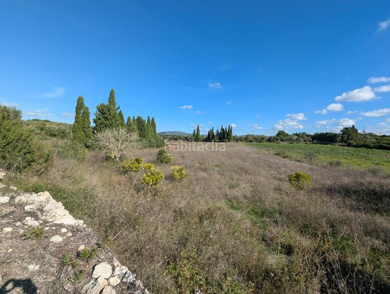 Foto 929b355a-5100-4cc3-be72-d5352b9077f5. Terreno residenziale in Manacor centre Manacor