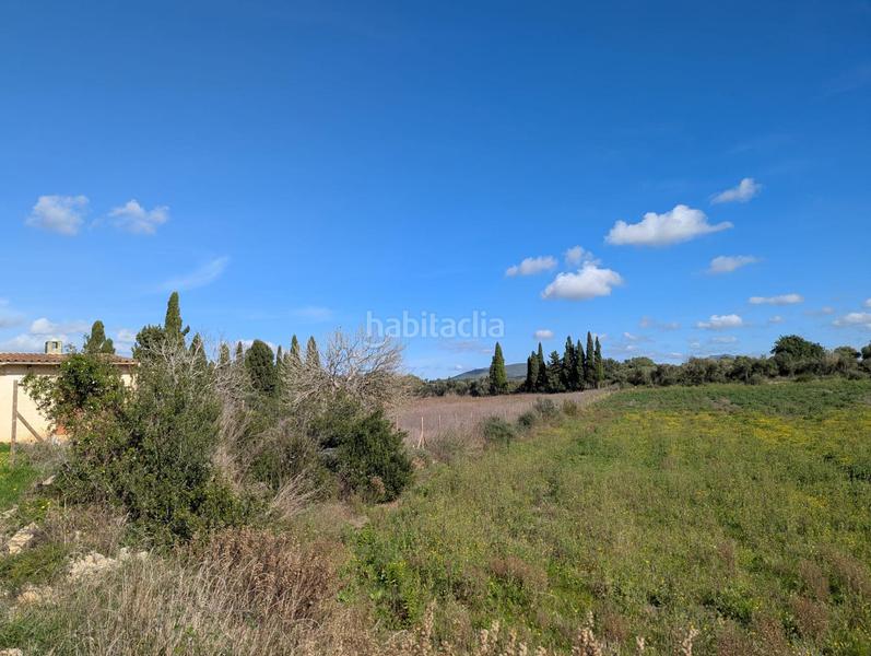 Foto 942415b2-485b-4931-9fdd-dc4bad9a71bc. Terreno residenziale in Manacor centre Manacor