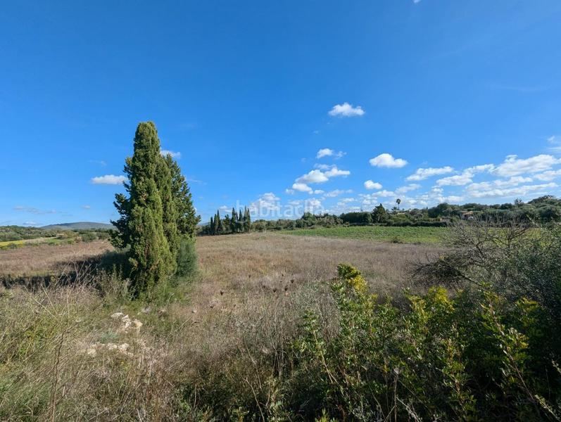 Foto b2a7da88-24ff-49b9-afb8-66de47ad7d55. Terreno residenziale in Manacor centre Manacor