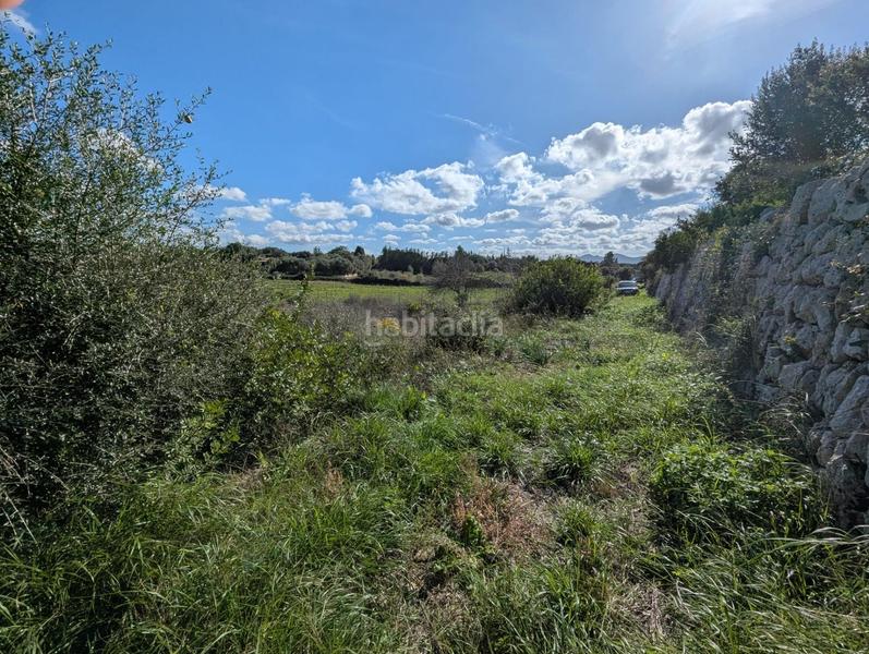 Foto cc777762-6be1-4887-a4c6-1c605ad77a9a. Terreno residenziale in Manacor centre Manacor