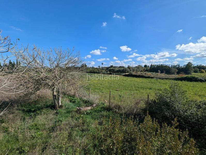 Foto ea44b372-7678-4dbd-955a-08074c58d322. Terreno residenziale in Manacor centre Manacor