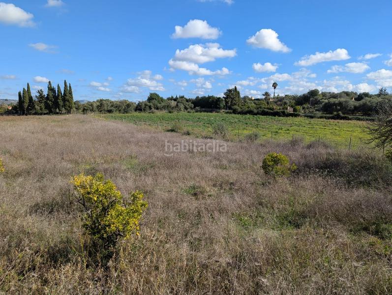 Foto fa3c5113-a2b8-43fc-a2ee-f964c54af70b. Terreno residenziale in Manacor centre Manacor