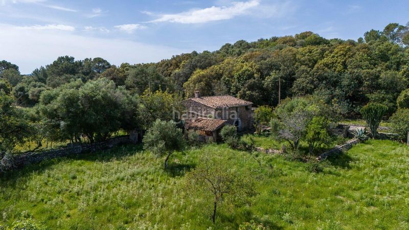 Foto c846e3b8-00bf-49f9-8354-3db6e839f72f. Masia a Pollença poble Pollença