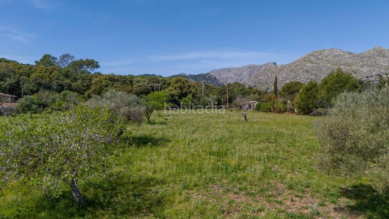 Foto ce1bb413-9efd-42d1-a73e-b3cb08828353. Masia a Pollença poble Pollença