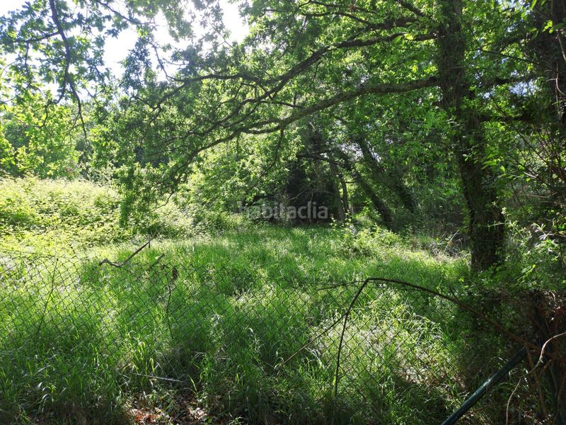 Foto b04827fd-915f-434a-92f7-fa405a2ed98d. Finca rústica a Candamo