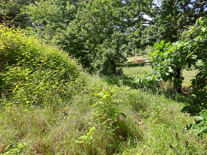 Foto d341dae9-8a28-457b-83e2-cf2df4703548. Finca rústica a Candamo
