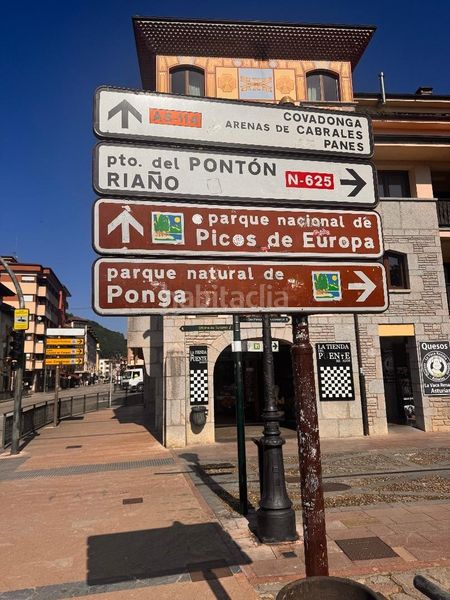 Foto 1750e058-64f9-40f1-84e5-d0c3520f09a5. Pis a Cangas de Onís