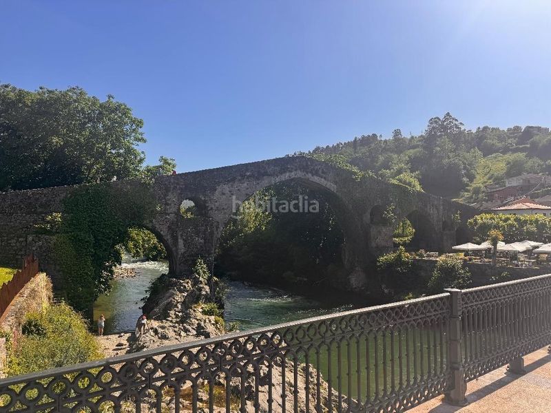 Foto 6e6d4631-8322-4709-b33e-41368b355f09. Pis a Cangas de Onís