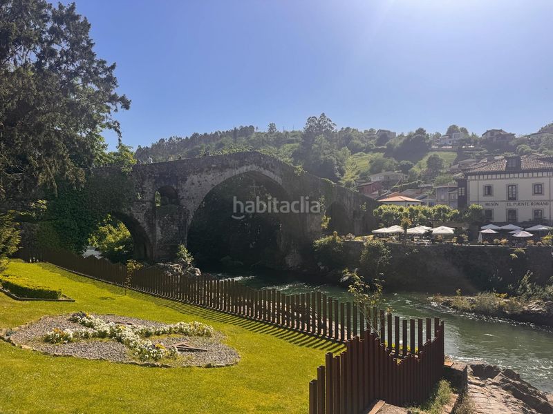 Foto fdb30a85-6dad-4c6b-afbd-95fa25c5bddc. Pis a Cangas de Onís