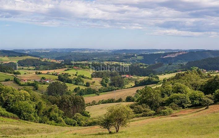 Foto d772776e-78d6-4c3e-a0fe-2537ec3edb32. Local comercial a Llanera