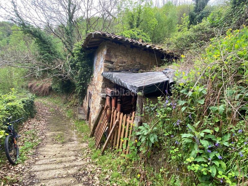 Foto aa15b38f-5804-40be-9888-fade376144bb. Masia a Zona Rural Mieres