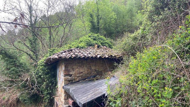 Foto f98e5e8c-a07d-4145-b0cc-54ef13d69e8b. Masia a Zona Rural Mieres