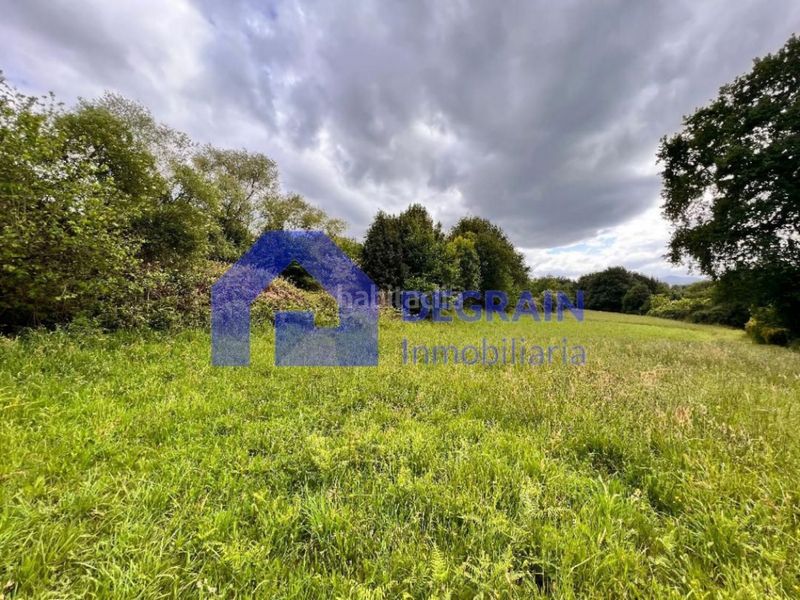 Foto ca4ff6c4-2963-4bb8-8410-53579f3ffcc4. Finca rústica a Olivares Oviedo