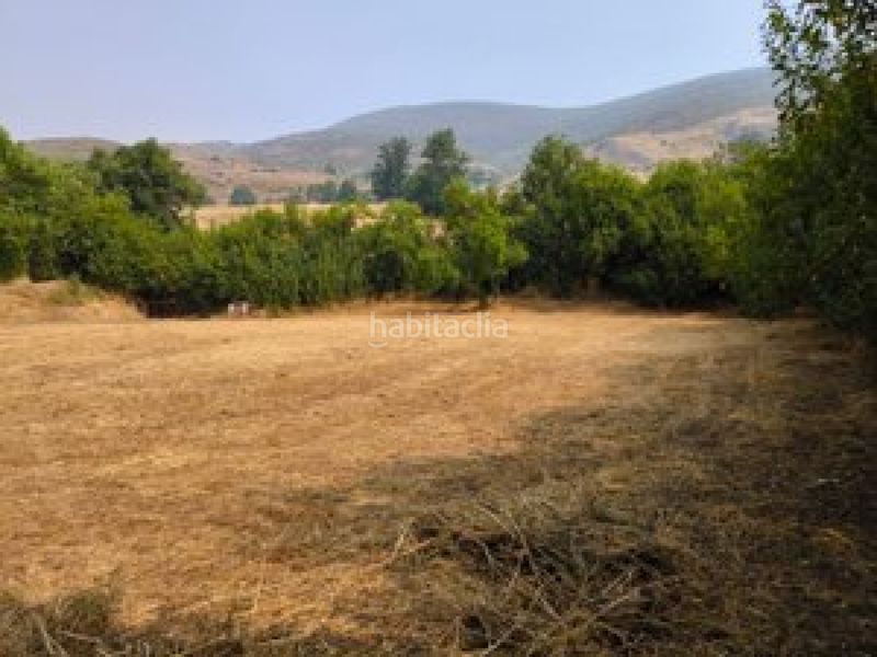 Foto 75abeb68-a861-4eb0-82a2-ea7938ee54aa. Finca rústica a San Emiliano
