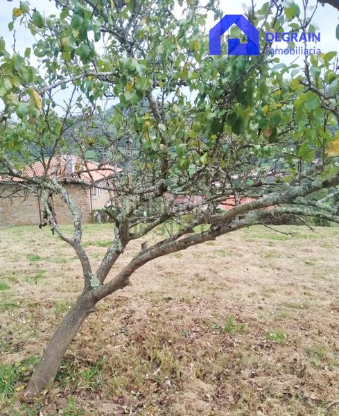 Foto eea9ee8f-80cb-4d4f-8bd6-5972a1eb8ce1. Casa in Grado