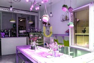 Transfer Business premise in Universidad-Malasaña. Refun4708 unionsol ofrece en alquiler y traspaso de cafetería en
