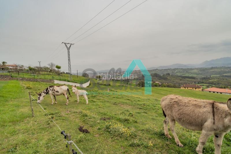 Foto 67287b56-9325-4f2b-b841-7a9cbfa201ba. Terreny residencial a Parroquias Norte - Naranco Oviedo