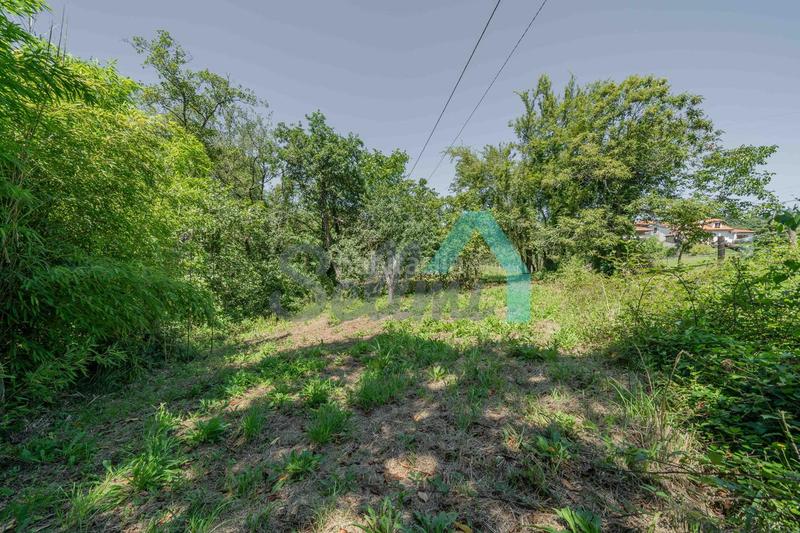 Foto 610054c5-7e8d-43d7-9f5b-9aaaab5e51dc. House with heating in Villaviciosa - amandi Villaviciosa