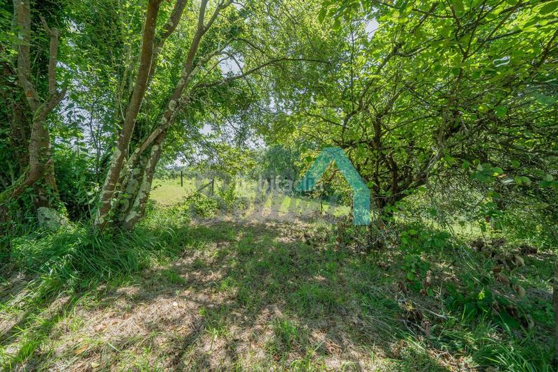 Foto 58907557-b5da-47ea-975c-dc188aeb6463. Maison avec chauffage dans Villaviciosa - amandi Villaviciosa