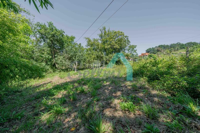 Foto d11e648b-7e30-461d-b112-9b92344c44c9. Maison avec chauffage dans Villaviciosa - amandi Villaviciosa