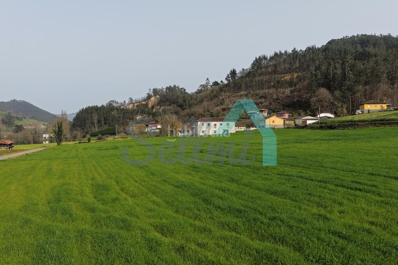 Foto 59e62859-5c07-4603-af69-5f2b5ede0213. Casa en Salas