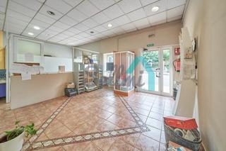 Business premise  Tenderina alta
