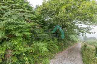 Terreno residenziale  La grandota