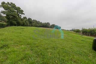 Residential Plot  Francisco pintado fe