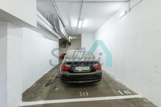 Parking coche  Armando collar