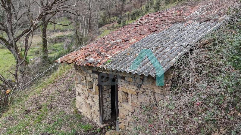 Foto 0984e22e-7ee8-417a-824a-8e87b4d8d1f2. Casale in Proaza