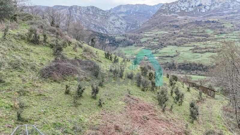 Foto 170cf83e-0baf-4d6f-ae99-09b87f2920a8. Casale in Proaza