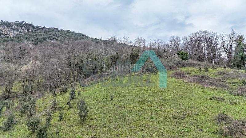 Foto 1749b93c-1f64-413d-ba43-3d41a209cfde. Casale in Proaza