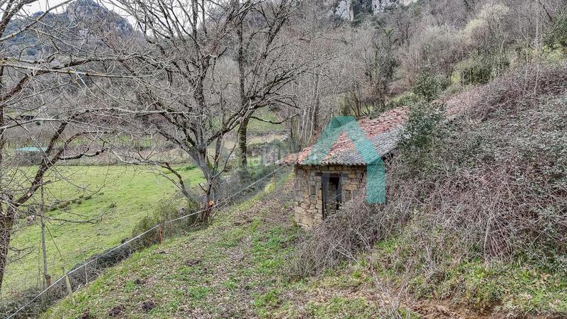 Foto 345f5243-ddff-4c62-97d0-b5a1d43be813. Casale in Proaza